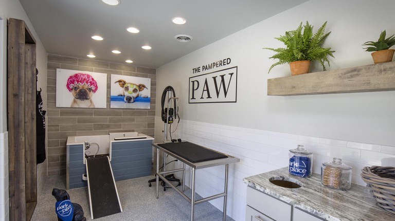 The Pampered Paw Pet Spa