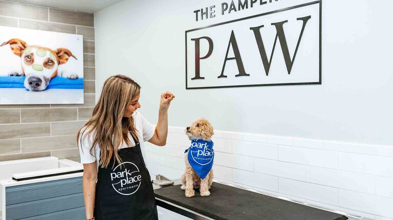 The Pampered Paw Pet Spa