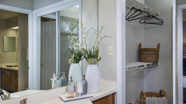 Primary Bathroom and Walk-In Closet